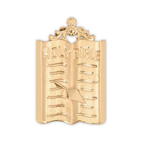Chaplain Royal & Select Masters Officer Collar Jewel - Golden Plated Holy Bible & Trowel - Bricks Masons