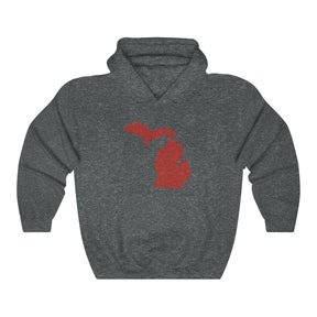 Masonic Hoodie - MICHIGAN State - Bricks Masons