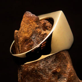 Knights Templar Ring - Purple Fleur De Lis Solid Brass - Bricks Masons