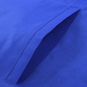 Past Master Blue Lodge Apron - Gold Bullion Emblem With Silver Braid Fringe - Bricks Masons